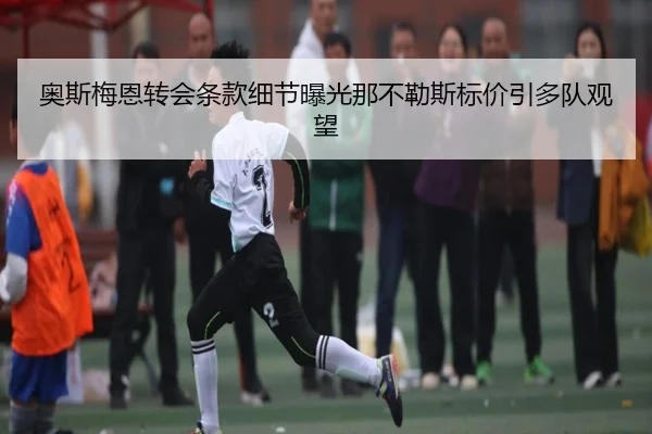 奥斯梅恩转会条款细节曝光那不勒斯标价引多队观望